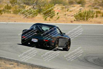 media/Jun-01-2025-VIP Trackdays (Sun) [[b20349723e]]/C Group/Session 2 (Turns 7 and 8)/